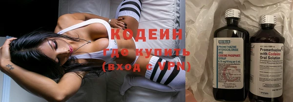 индика Каменск-Шахтинский