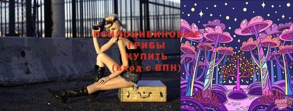 индика Каменск-Шахтинский