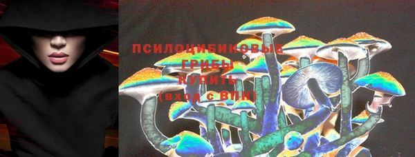 индика Каменск-Шахтинский