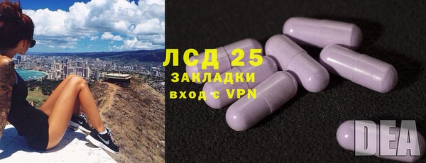 индика Каменск-Шахтинский