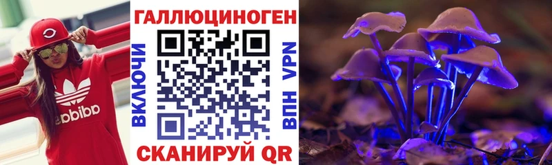 Псилоцибиновые грибы Psilocybe  Старый Крым 